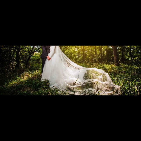Wedding dress size 12 and 6 ft veil - Picture 4 of 5